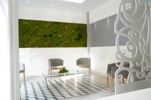 dentista cerca de linares