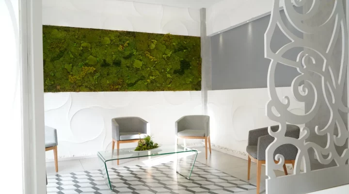 dentista cerca de linares